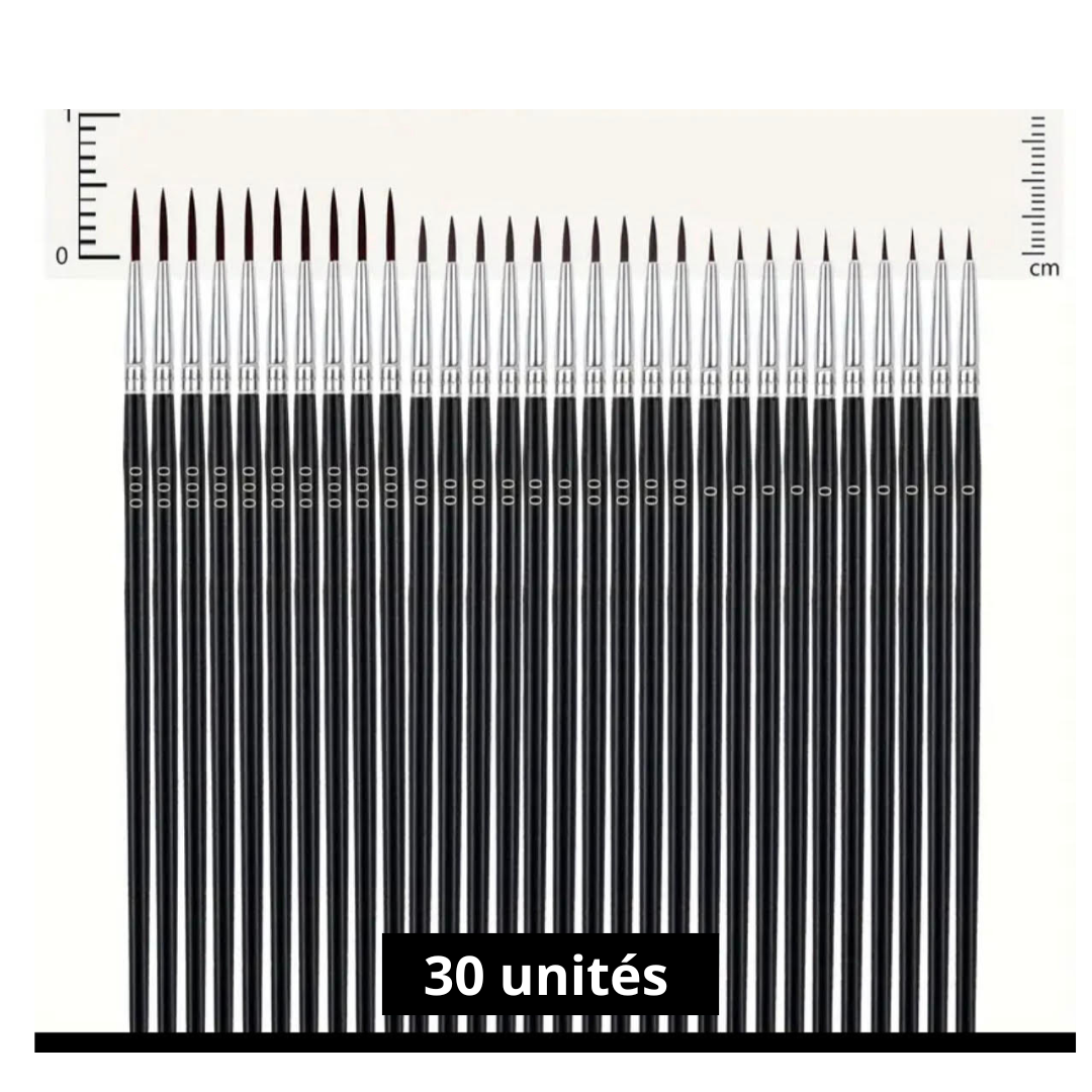 Lot 30 Pinceaux du 0 au 000