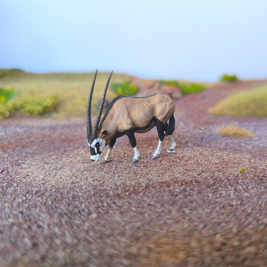 Oryx