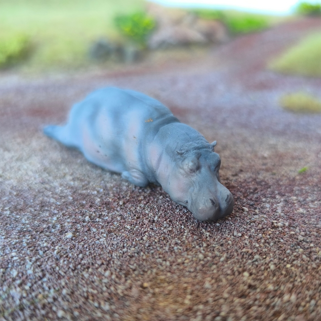 Hippopotame