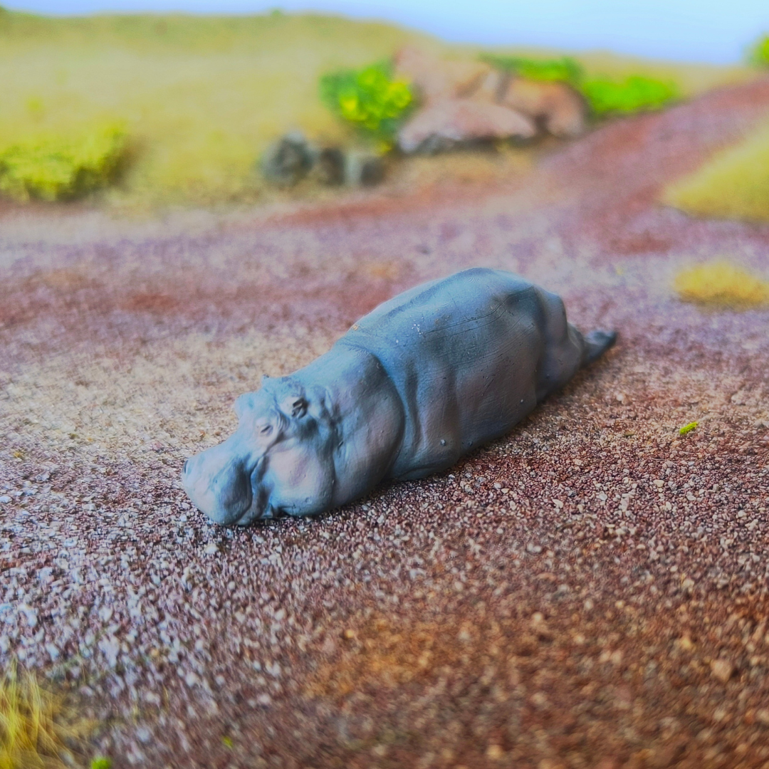 Hippopotame
