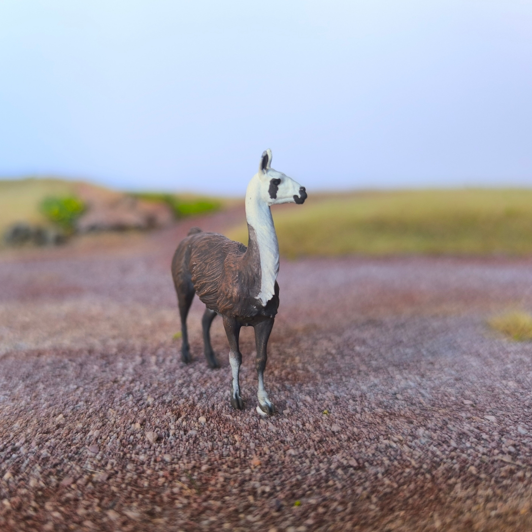Lama