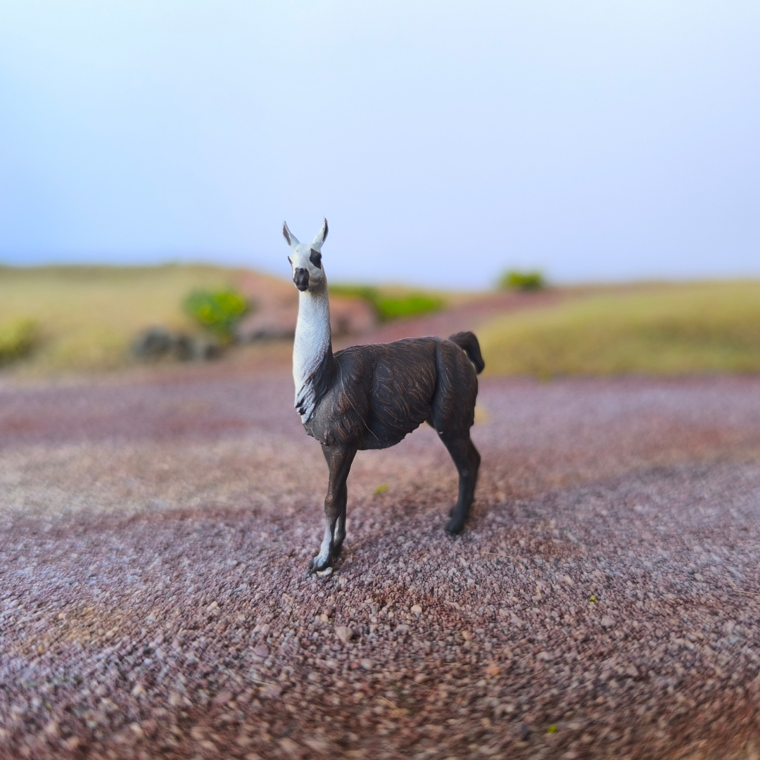 Lama