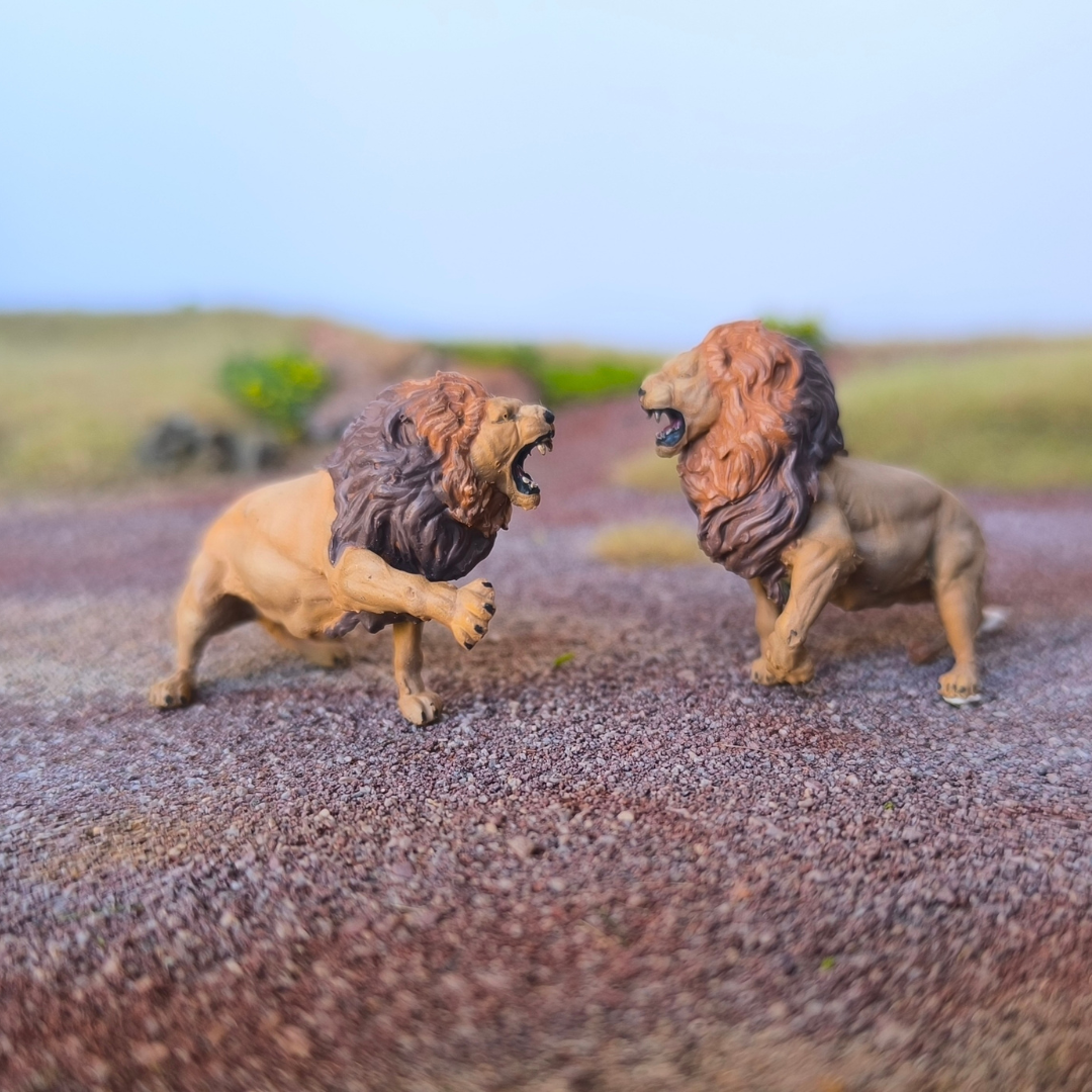 Lions combattants