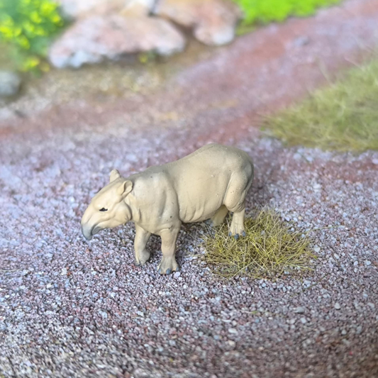 Tapir