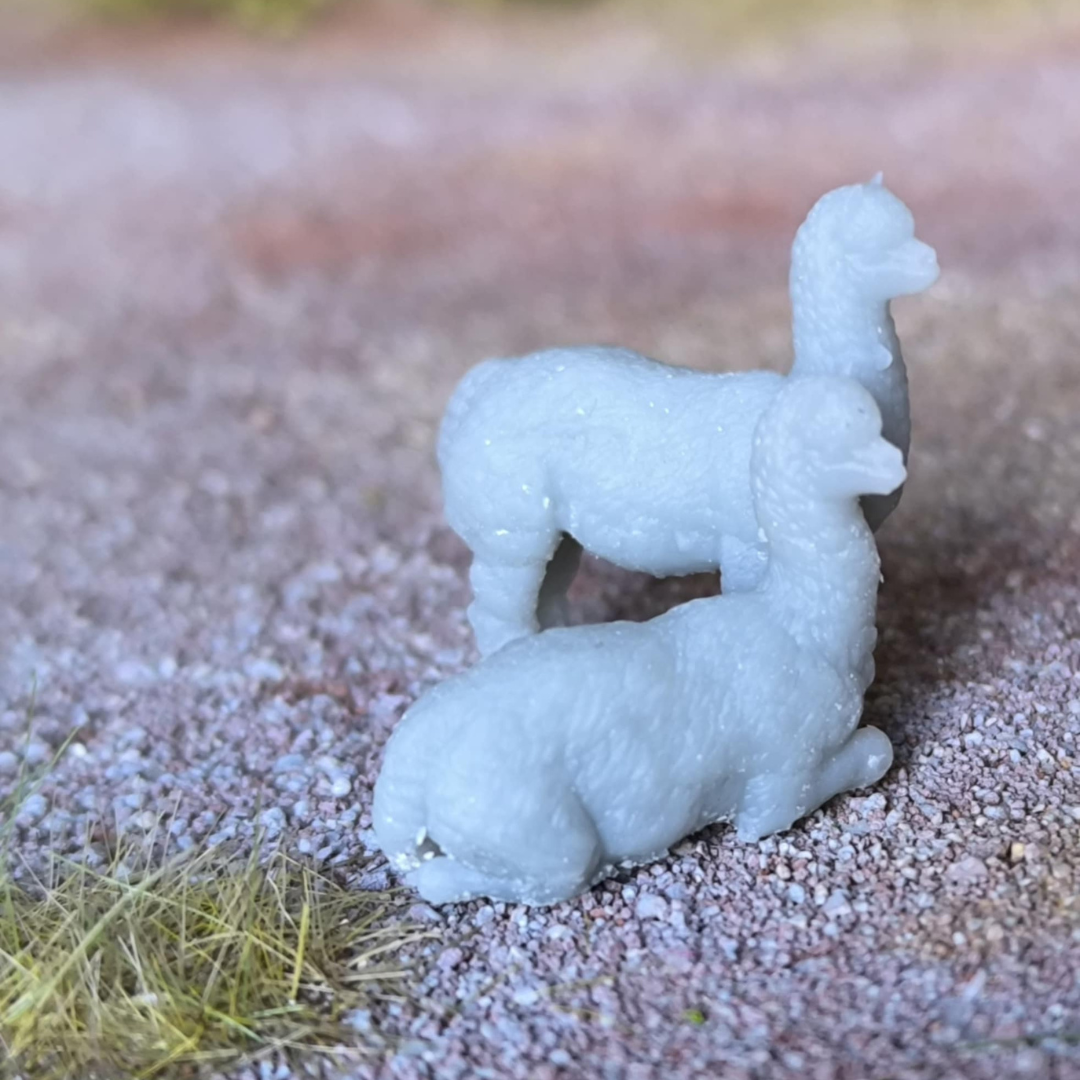 Alpagas debout et couché