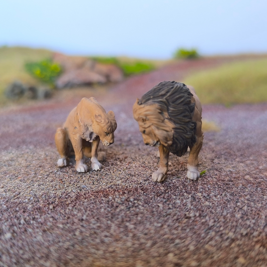 Couple de Lions