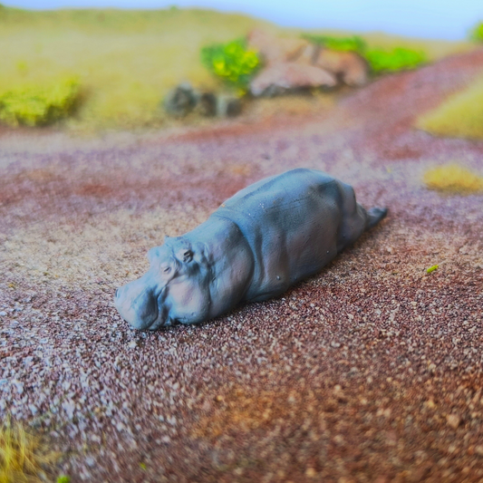 Hippopotame
