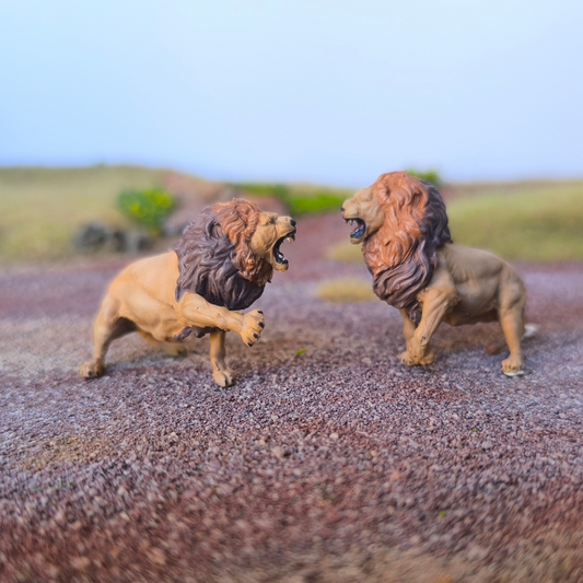 Lions combattants